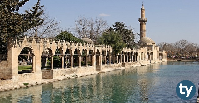 sanliurfa anadolu liseleri taban puanlari 2021 meb lgs h12709 8236f