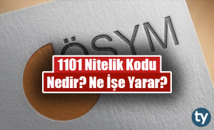 1101 Nitelik Kodu Nedir? Ne İşe Yarar? 1101 Özel Şartı Nedir?