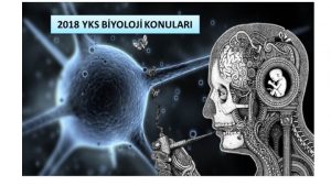 2018 YKS Biyoloji Konuları