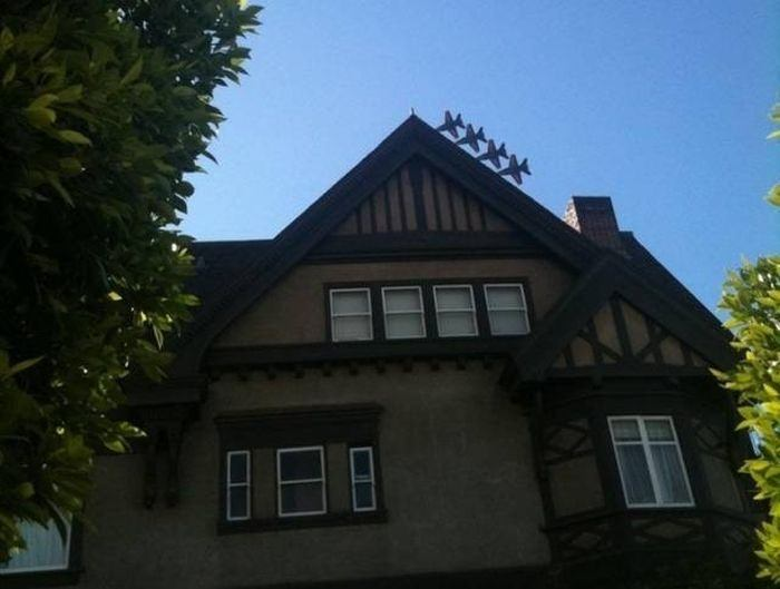 i̇şte birbirinden mükemmel zamanlama harikası fotoğraflar 12 12 1