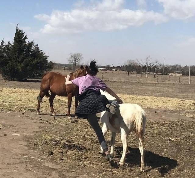 i̇şte birbirinden mükemmel zamanlama harikası fotoğraflar 15 15 1
