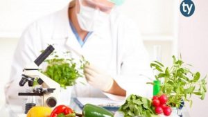 Gıda Mühendisliği KPSS 2018/1 Atama Taban Puanları