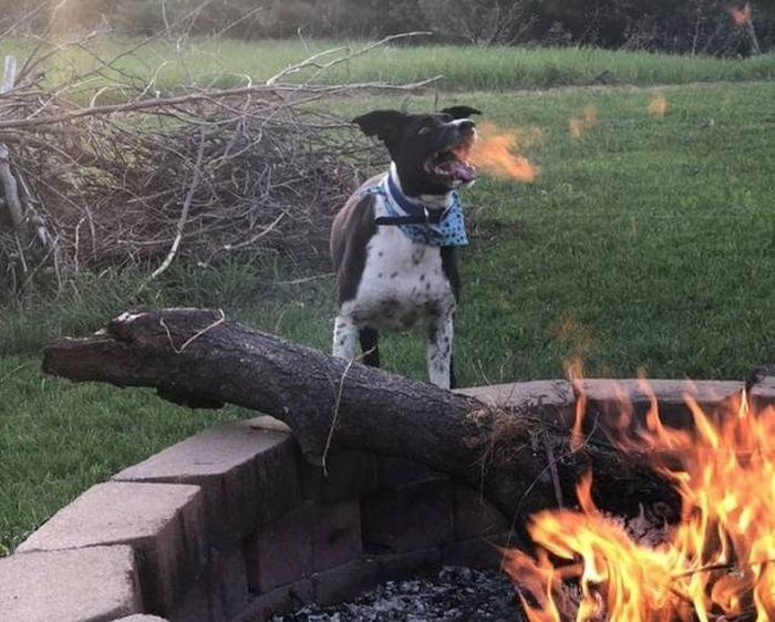 i̇şte birbirinden mükemmel zamanlama harikası fotoğraflar 17 17 1