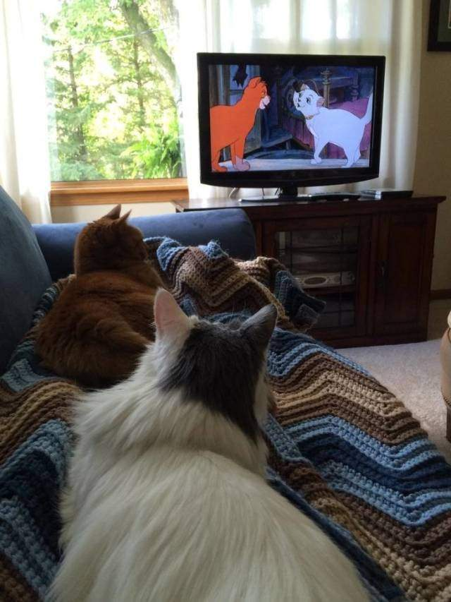 i̇şte birbirinden mükemmel zamanlama harikası fotoğraflar 18 18 1