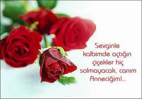 anneler günü tebriki, kutlama, anneler günü kartları ve resimleri 21 19