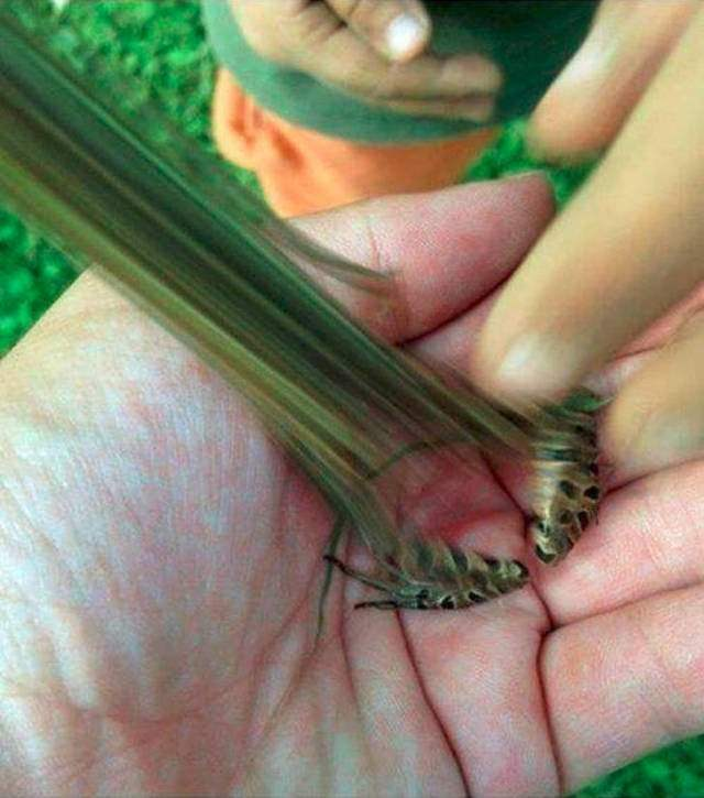 i̇şte birbirinden mükemmel zamanlama harikası fotoğraflar 19 19 1