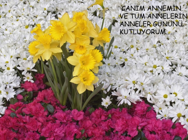 anneler günü tebriki, kutlama, anneler günü kartları ve resimleri 22 20