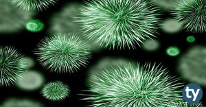 TYT Biyoloji Soruları ve Cevapları