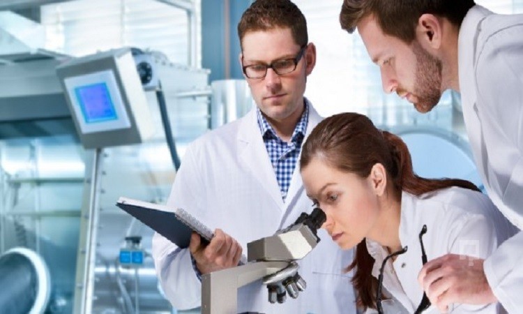 mf 3 bölümleri, mf 3 ile alan bölümler 2 2146 3 3732f7c21b629473b1bf6139bf553f0d