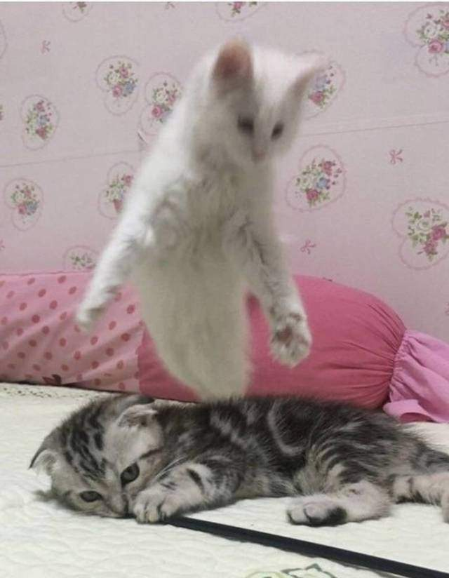 i̇şte birbirinden mükemmel zamanlama harikası fotoğraflar 23 23