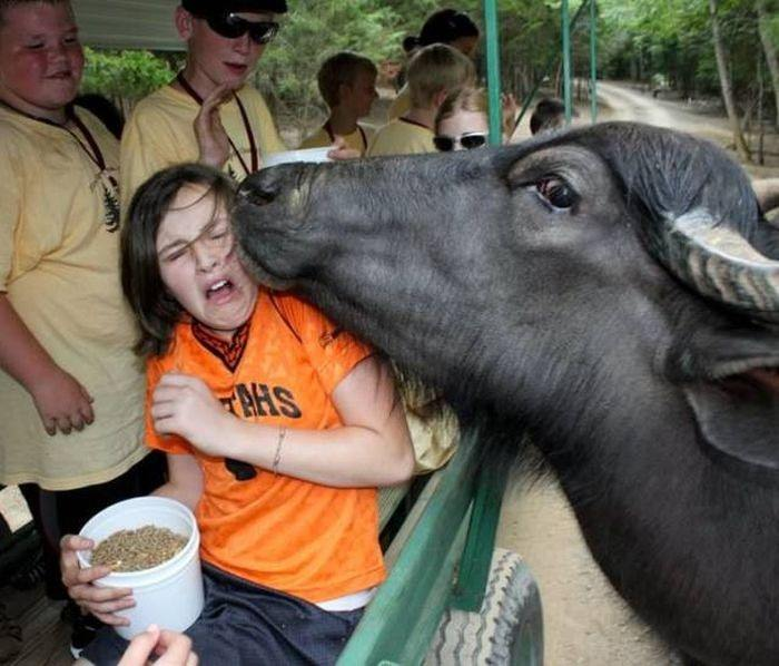 i̇şte birbirinden mükemmel zamanlama harikası fotoğraflar 2 2 3