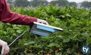 2 Yıllık Bitki Koruma KPSS 2019/1 Atama Taban Puanları