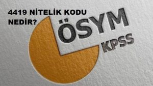 4419 Nitelik Kodu Nedir?