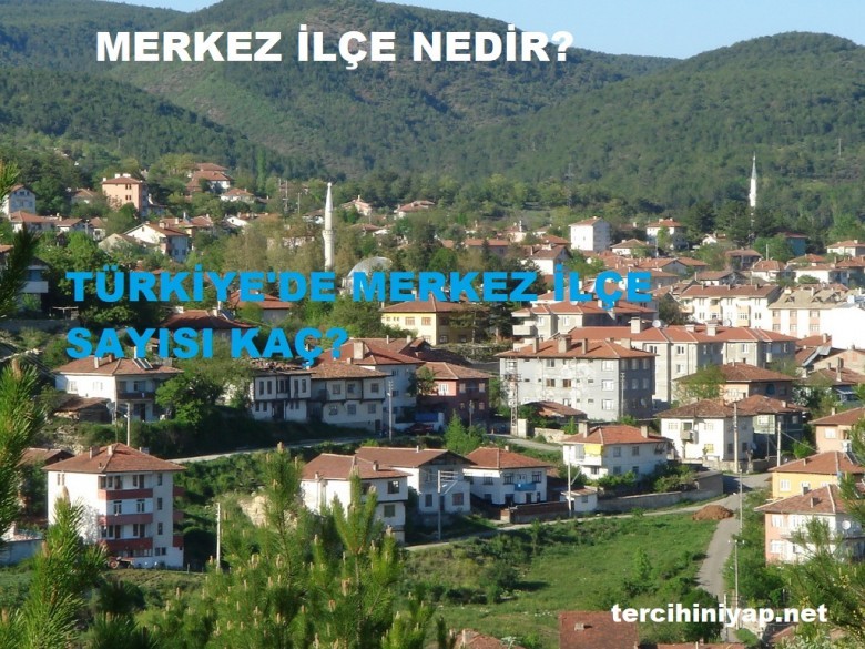 merkez i̇lçe ne demek? 1 5595 1 dfb9a138b1b31be6e0d2950fc88dabbd