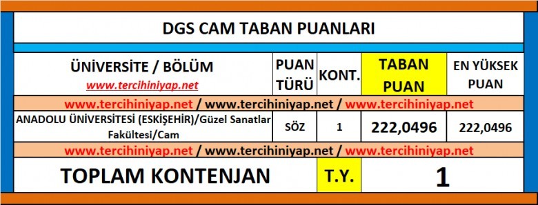 dgs cam 2019 taban puanları 1 5992 1 593234392c4e08980ab878c507674b61