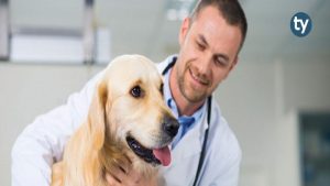 Laborant ve Veteriner Sağlık KPSS 2018/1 Atama Taban Puanları