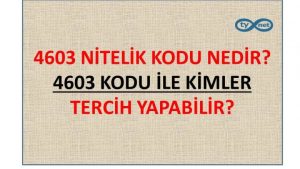 4603 Nitelik Kodu Nedir?