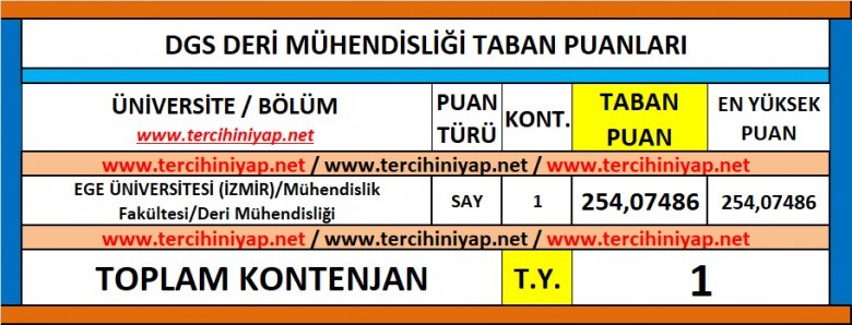 dgs deri mühendisliği 2019 taban puanları 1 6006 1 b74d62887372d5ac6d354a304eea5509