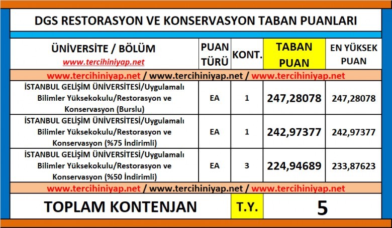 dgs restorasyon ve konservasyon 2019 taban puanları 1 6222 1 94312ea765cc41325cacd1fffb729c77