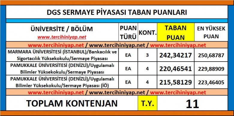 dgs sermaye piyasası 2019 taban puanları 1 6237 1 e610a906d444ee28e81255b2a55ad4b0