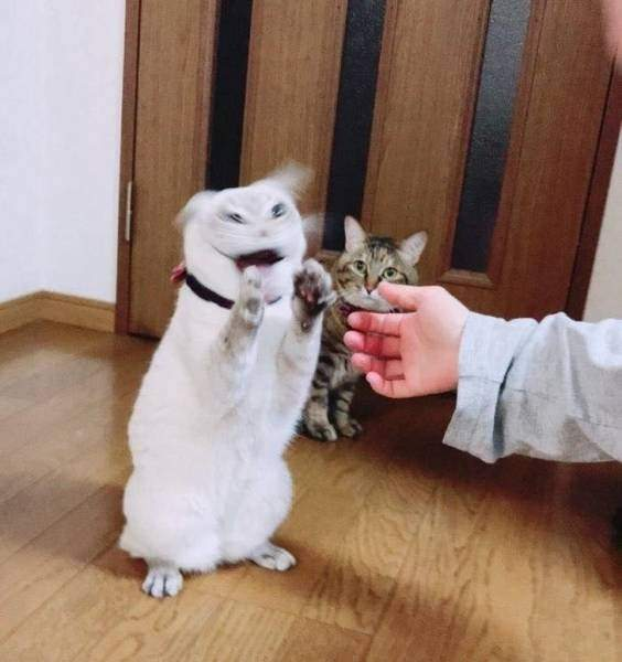 i̇şte birbirinden mükemmel zamanlama harikası fotoğraflar 7 7 1