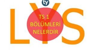 TS 1 Bölümleri, TS 1 ile Alan Bölümler