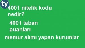 4001 Nitelik Kodu Nedir?