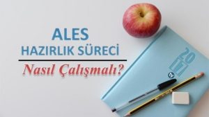 ALES’e Nasıl Çalışılır