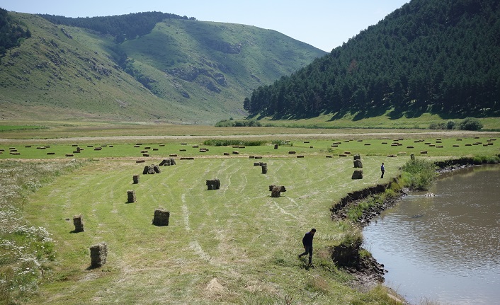 ardahan'ın i̇lçeleri nelerdir? ardahan i̇lçeleri 1 ardahan merkez ilceleri