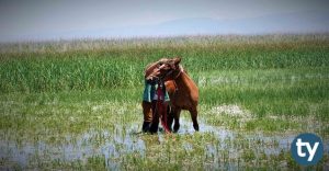 Ardahan Üniversiteleri Nelerdir? Ardahan İlinde Var Olan Üniversiteler