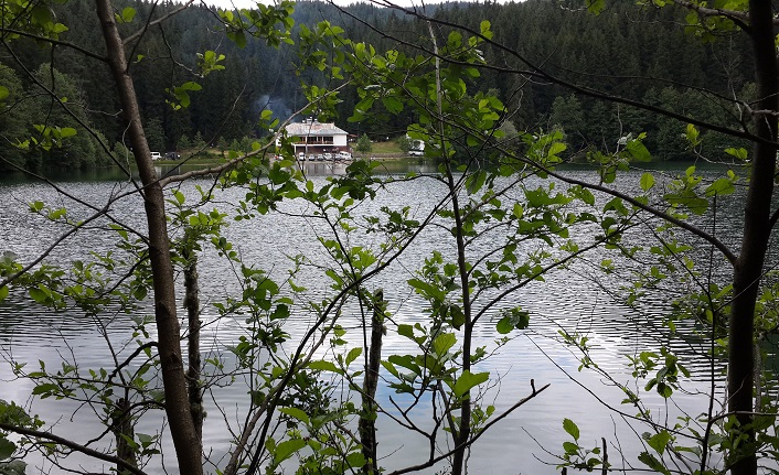 artvin'in i̇lçeleri nelerdir? artvin i̇lçeleri 1 artvin merkez ilceleri