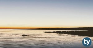 Aydın Anadolu Liseleri Taban Puanları 2021 (MEB-LGS)