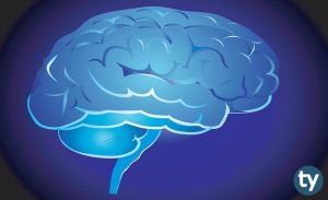 AYT Psikoloji Konuları 2020 Nelerdir? (ÖSYM – YÖK – MEB)