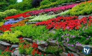 Bahçe Bitkileri Üretimi ve Pazarlaması 2020 Taban Puanları ve Başarı Sıralamaları