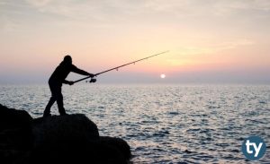 Balıkçılık Teknolojisi Mühendisliği 2020 Taban Puanları ve Başarı Sıralaması