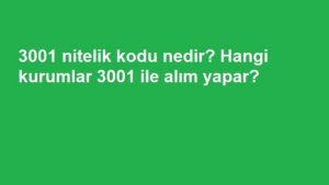3001 Nitelik Kodu Nedir?