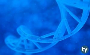 Biyoloji 2020/1 KPSS Atama Taban Puanları