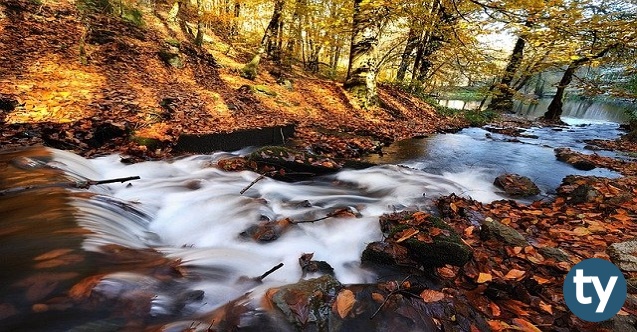 bolu universiteleri nelerdir bolu daki universiteler h13160 3e387