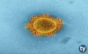 Borel El Dezenfektanı Koronavirüsten Korur Mu? Boreli Kim Üretiyor?