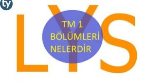 TM 1 Bölümleri, TM 1 ile Alan Bölümler