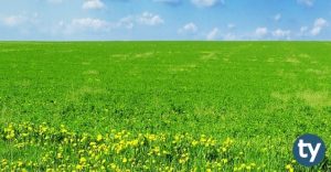 Çevre Sağlığı Teknikeri KPSS 2020/14 Atama Taban Puanları