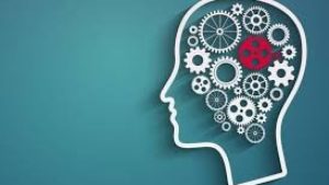 YKS’de Psikoloji Kazanmak İçin Kaç Bine Girmek Gerekir?