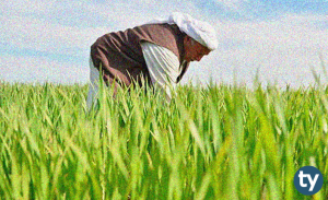 Çiftçi Belgesi Nedir? Nereden ve Nasıl Alınır?