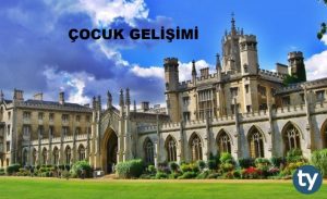 Çocuk Gelişimi Nedir? Ne İş Yapar?