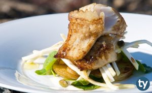 Devlet Üniversiteleri Gastronomi ve Mutfak Sanatları Taban Puanları 2020