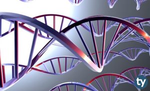 DGS Biyoteknoloji Taban Puanları 2020