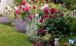 DGS Bahçe Bitkileri Üretimi ve Pazarlaması Taban Puanları 2020