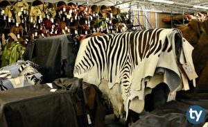 DGS Deri Mühendisliği Taban Puanları 2020