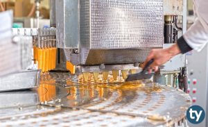 DGS Gıda Mühendisliği Taban Puanları 2021