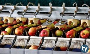 DGS Gıda Teknolojisi Taban Puanları 2020